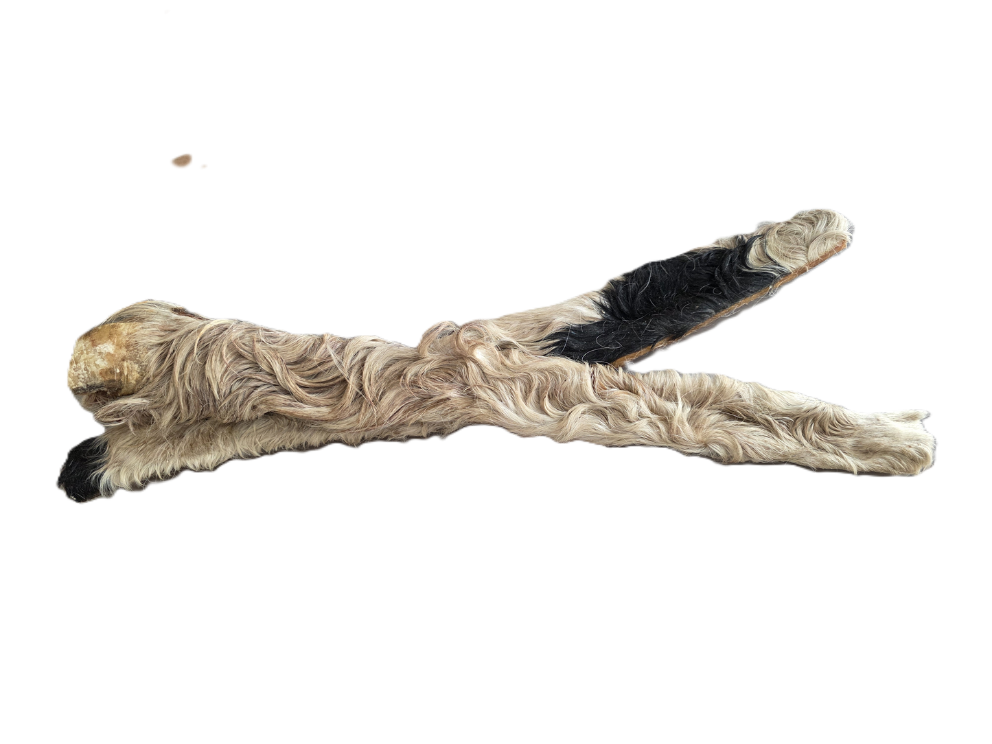Peaux de bœuf 50cm Avec poils (lot de 2)