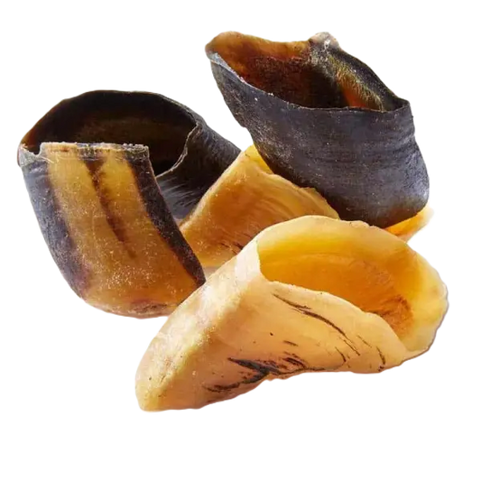 Sabot de boeuf S ou M