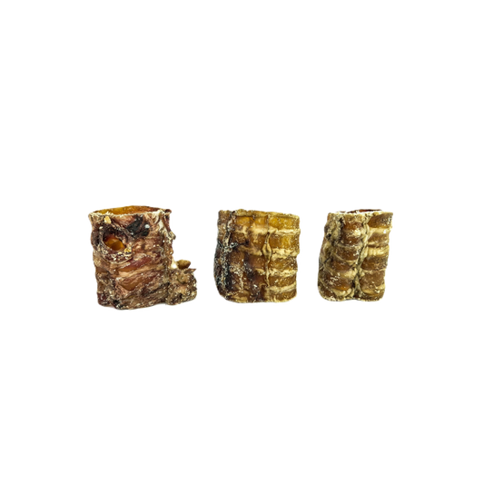 Trachees de boeuf 5/15/30cm