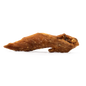 Ailes de Poulet 100gr