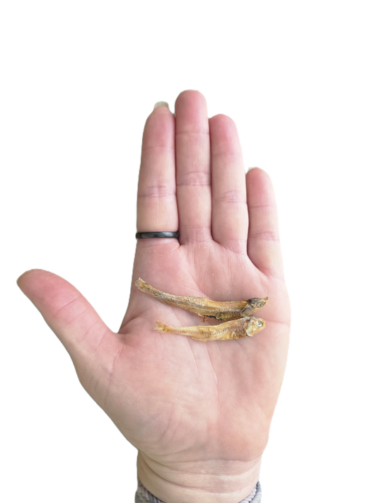 Anchois 100gr