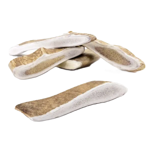Bois de daim