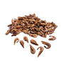 Crevettes grises 100g