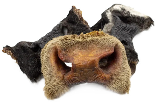 Museau de bœuf AVEC ou SANS poils