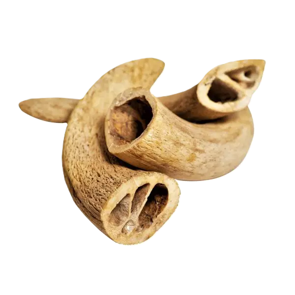 Noyau de corne de buffle