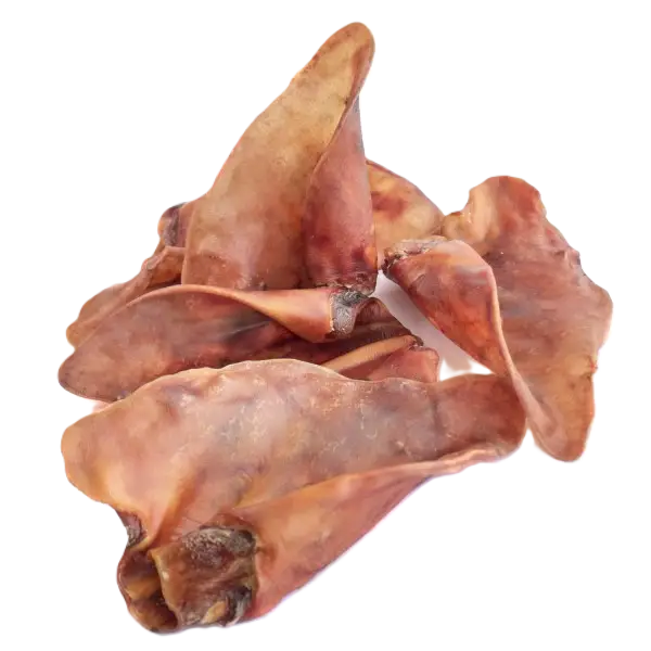 Oreille de porc M ou XL