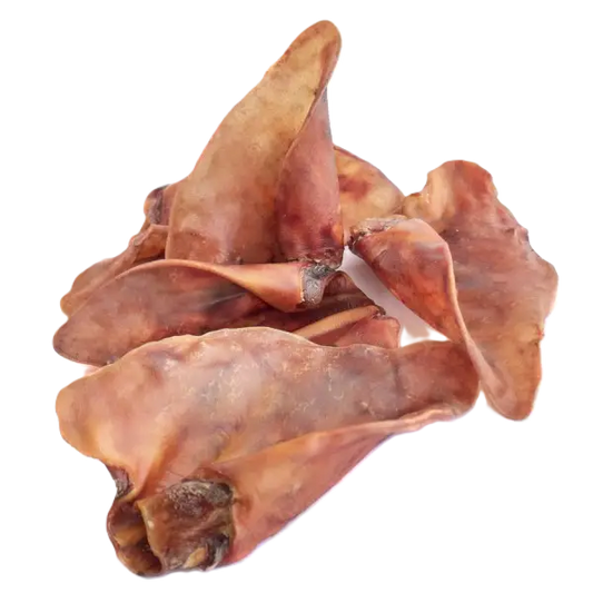 Oreille de porc M ou XL