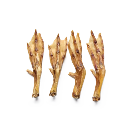 Pattes de canard 100gr