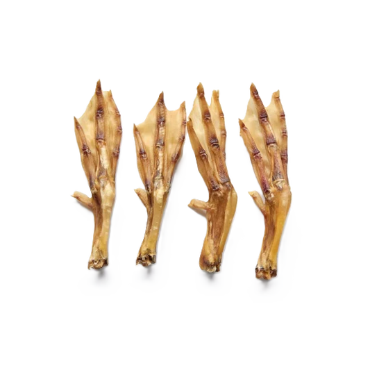 Pattes de canard 100gr