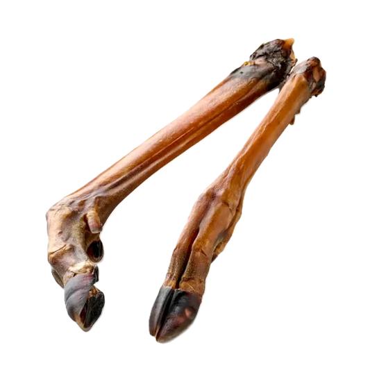 Patte de chevreuil
