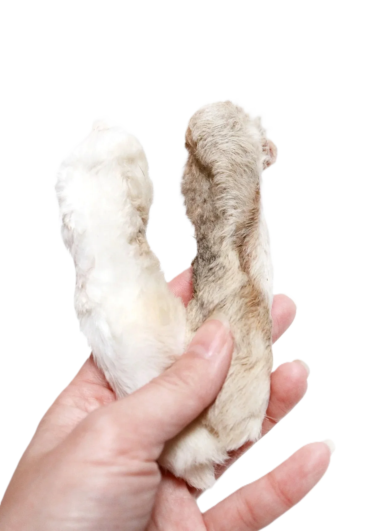 Pattes de lapin 100gr