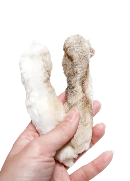 Pattes de lapin 100gr