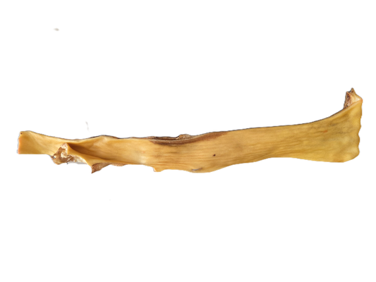 Peaux de bœuf 50cm Sans poils (lot de 2)