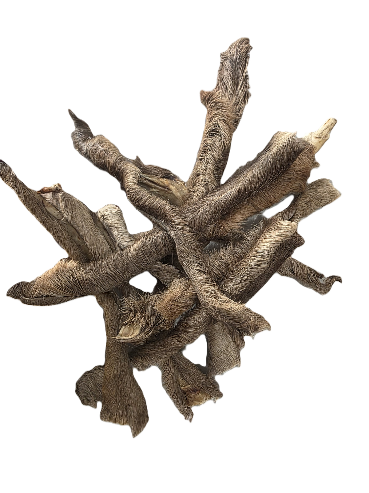 Peaux de cerf 15CM AVEC ou SANS POILS (100 gr)