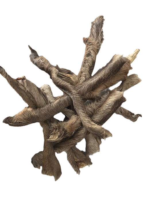 Peaux de cerf 15CM AVEC ou SANS POILS (100 gr)