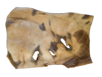 Plaque de peau de buffle XL