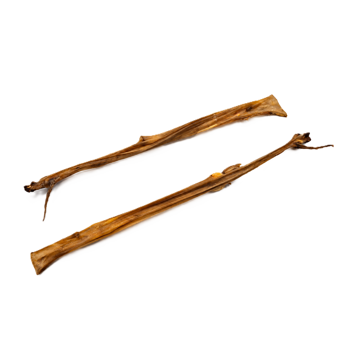 Peaux de lapin 50 cm sans poils (200gr)