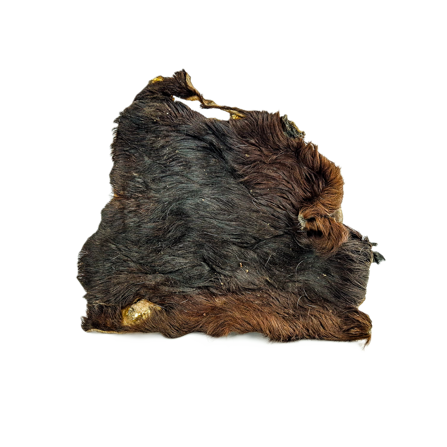 Plaque de peau de boeuf Avec poils S ou M