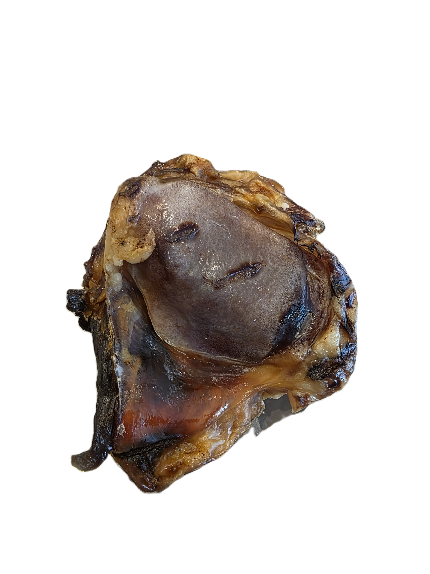Rotule de Boeuf
