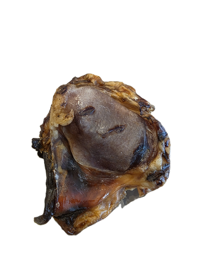 Rotule de Boeuf
