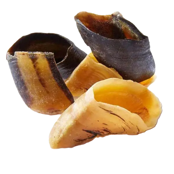 Sabot de boeuf S ou M