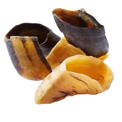 Sabot de boeuf S ou M