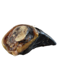 Sabot de bœuf entier