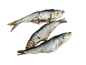 Sardines séchées 100gr
